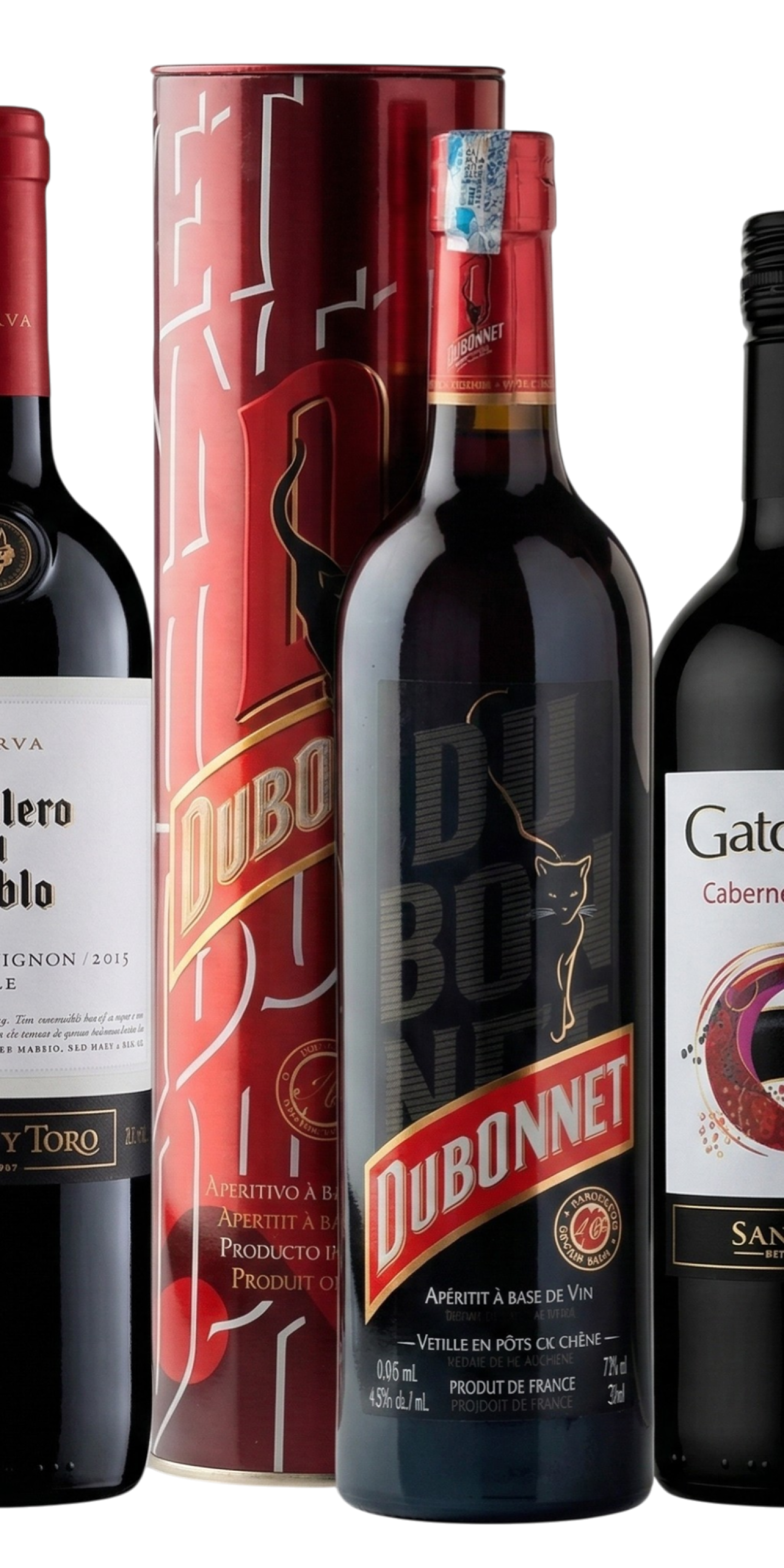 Gemini_Generated_Image_q5au2dq5au2dq5au (1)